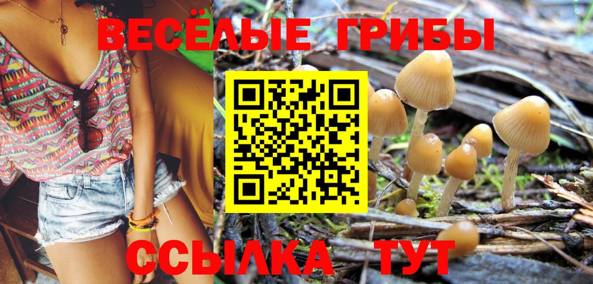 Псилоцибиновые грибы ЛСД  Псилоцибиновые грибы ЛСД  сколько стоит  Рославль  Вход с VPN 