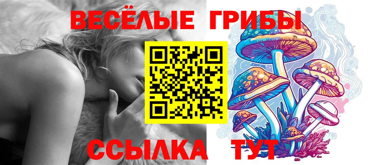 Псилоцибиновые грибы Psilocybe Рославль